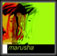 marusha - no hide no run